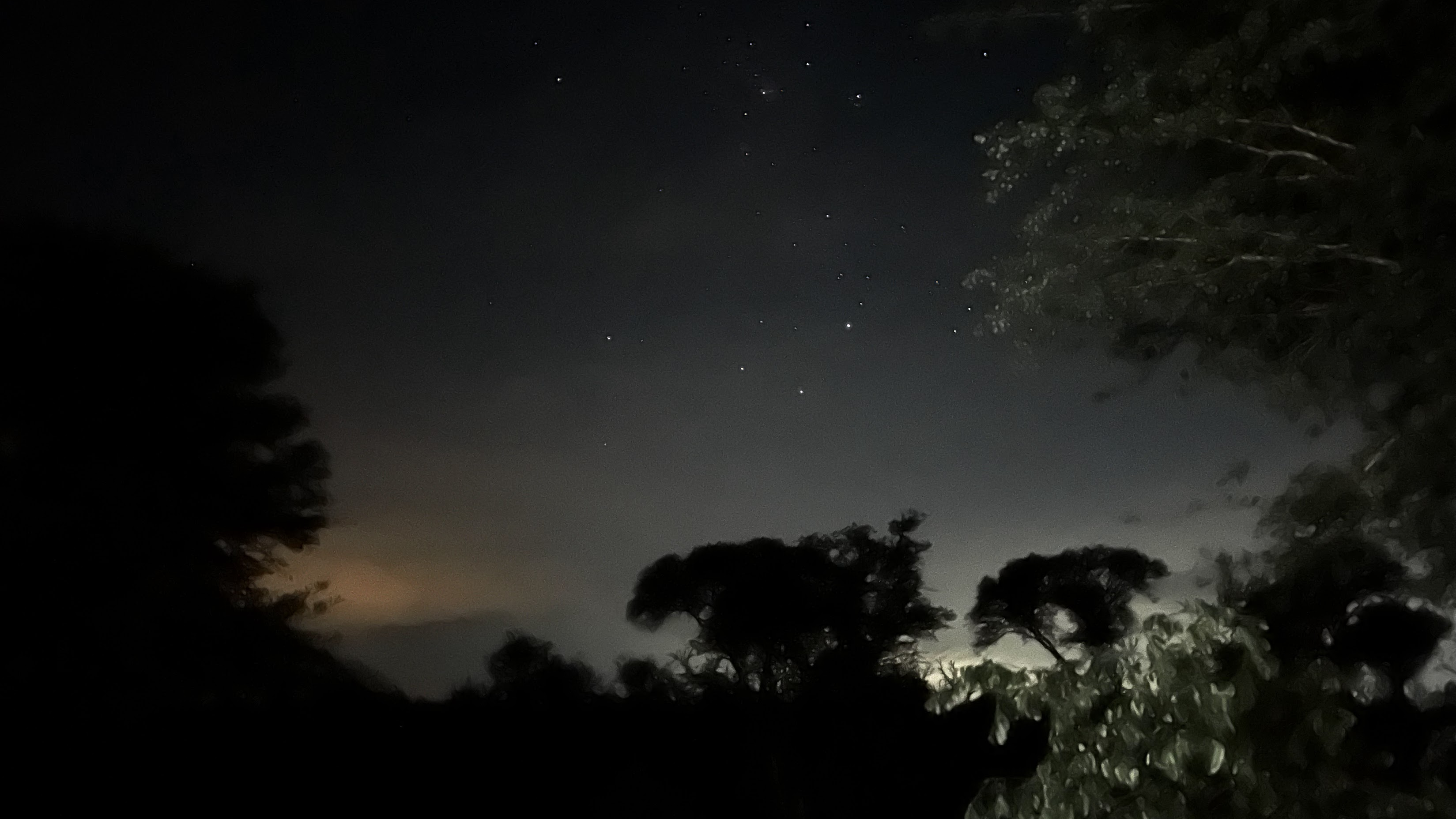 A picture of trees and sky at twilight in the South African Bush